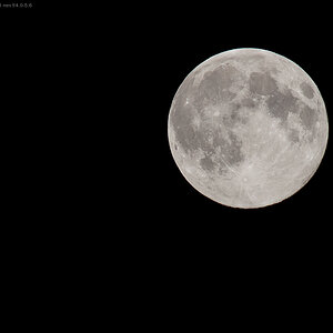 10. August 2014 DSC 8078 2