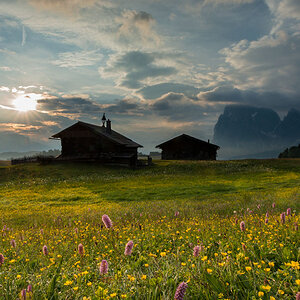Sonneaufgang auf der Sesier Alm mit dem Langkofel