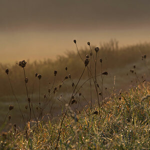 morgenspaziergang 1