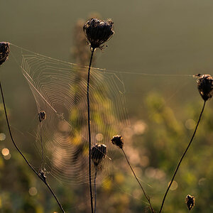 morgenspaziergang 3