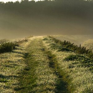 morgenspaziergang 5