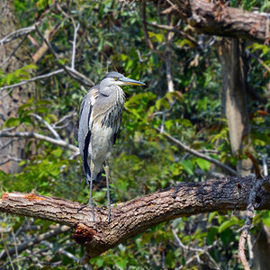DSC 2191 khg
