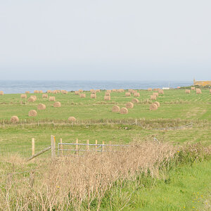 NK3 9877