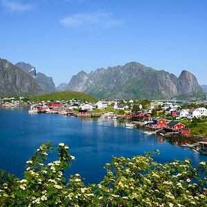 Reine und Reinefjord