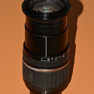 DSC 8561