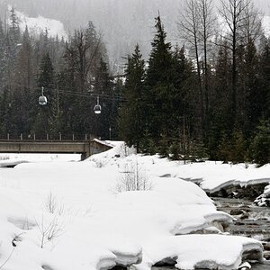 Whistler im Ort