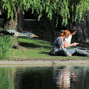 Im Wiener Stadtpark