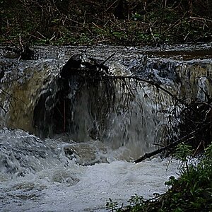 DSC 2592.001