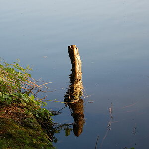DSC 49380001