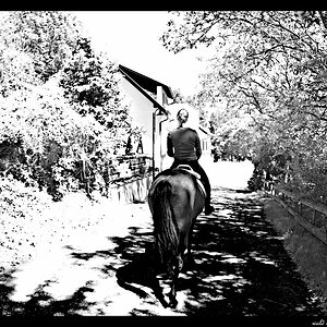 Ausritt b/w
s DSC 0200