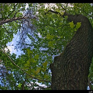 s DSC 0175