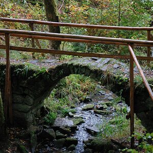 brueckle1