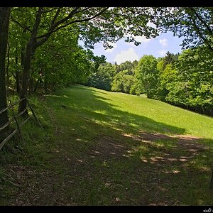 Lichtung
s DSC 0190