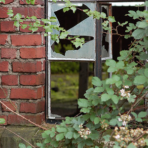 Fenster01