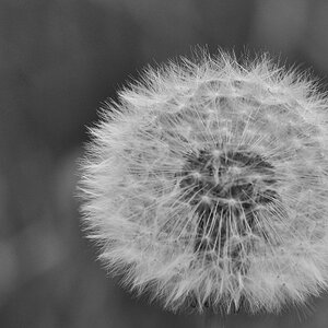 DSC 1290 900x660