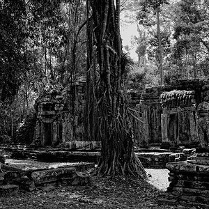 Angkor