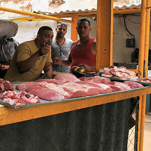 Fleisch 4688