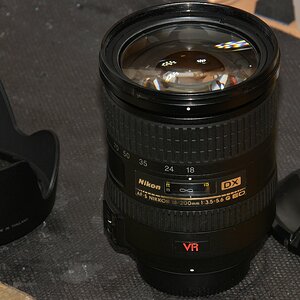 DSC 8611