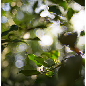 Ais Bokeh