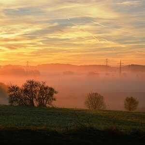 herbst