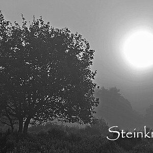 comp Morgends in der Heide