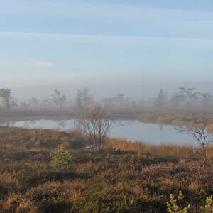 Schwarzes Moor 018