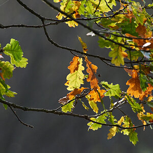2014 10 24 15 49 11  DSC1096