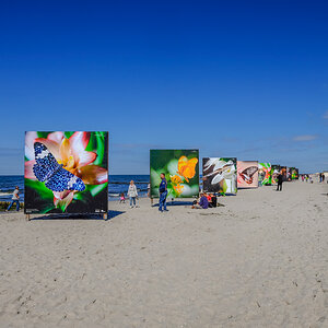 Zingst Festival 2014