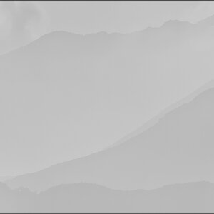 ViraPZ1 2495