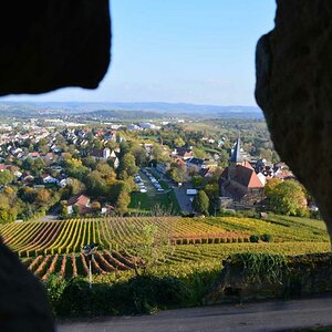 Herbstimpressionen 5