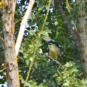 DSC 2099 khg