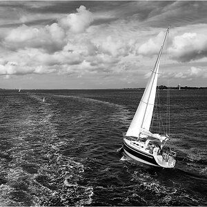 comp DSC 7815 SW