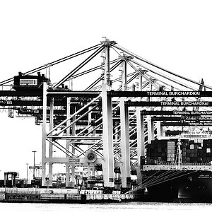 CTE,CTB,CMA CGM A.v.Humboldt 008 DxO v
