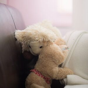 kuscheltiere