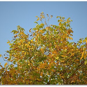 MNE 7238, 20141009
D800 Ai-S 105mm/2,5