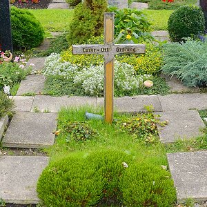 DSC 2512