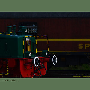 D71 1846 v1 nikon

  Die Liesel