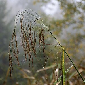 2014 13811