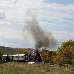 56 548 bei Oturak
7290