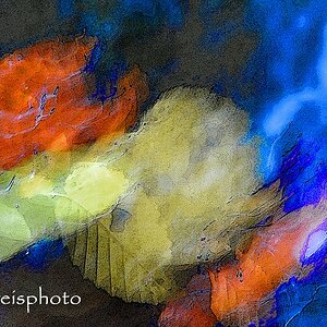 comp Herbstlicht8