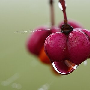 2014 14273