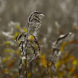 2014 14488