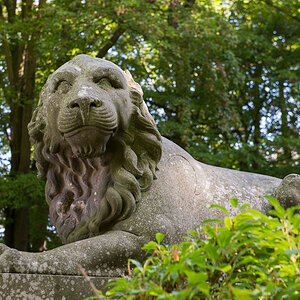 DSC1670
Wächter1