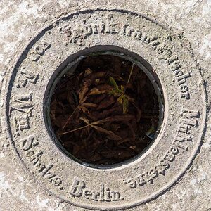 DSC1691
Mühlstein aus Berlin