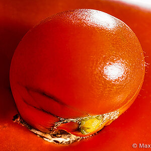 SONYQX1©MaximilianWeinzierlTT