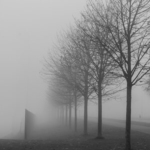 81/364