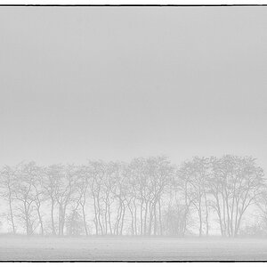 F005184c
