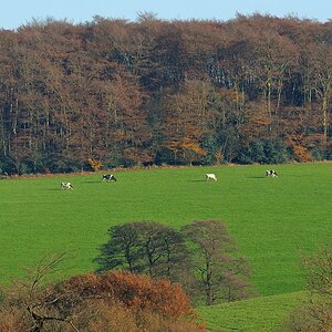comp DSC 2937 bearbeitet