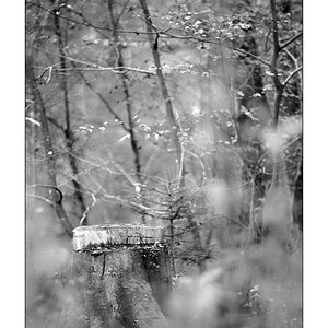 HerbstPZ1 3126