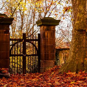 Herbst Tübingen 01